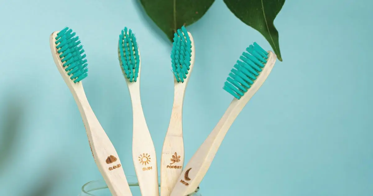 Eco-Friendly Guest Amenities: Sustainable Choices